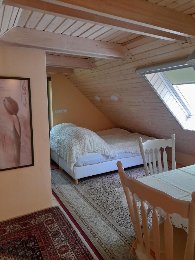 Guest House Vidravar Tabdi エクステリア 写真