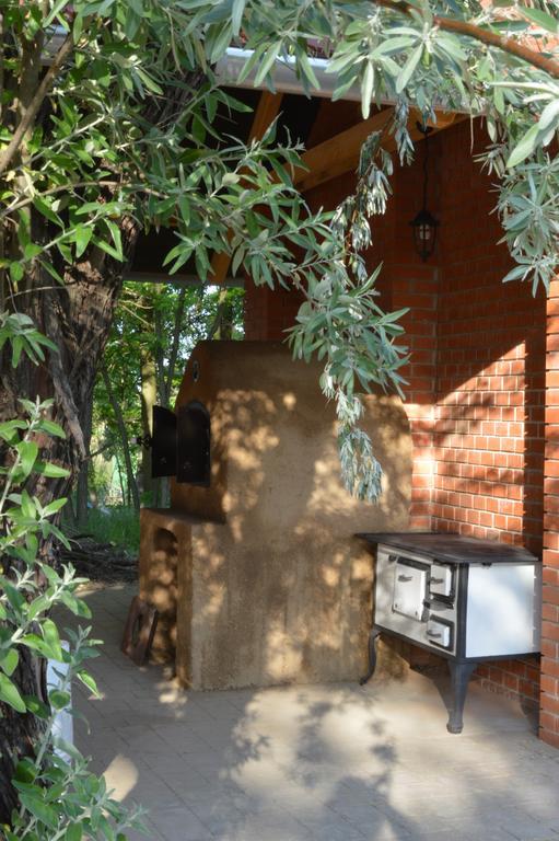Guest House Vidravar Tabdi エクステリア 写真